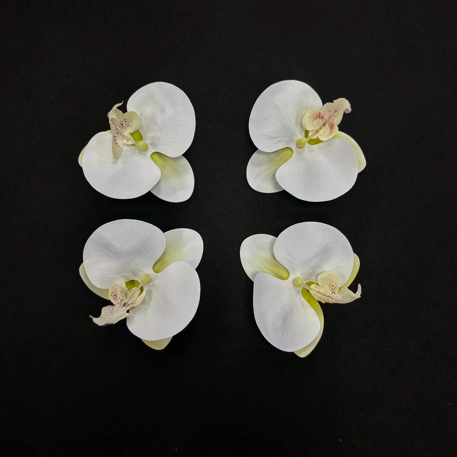 ORKİDE KAFA 100'LÜ