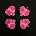 ŞEKER PEMBE EBRULİ