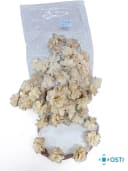 SÜTLÜ KAHVE NO:188