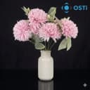 TOZ PEMBE