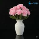 TOZ PEMBE