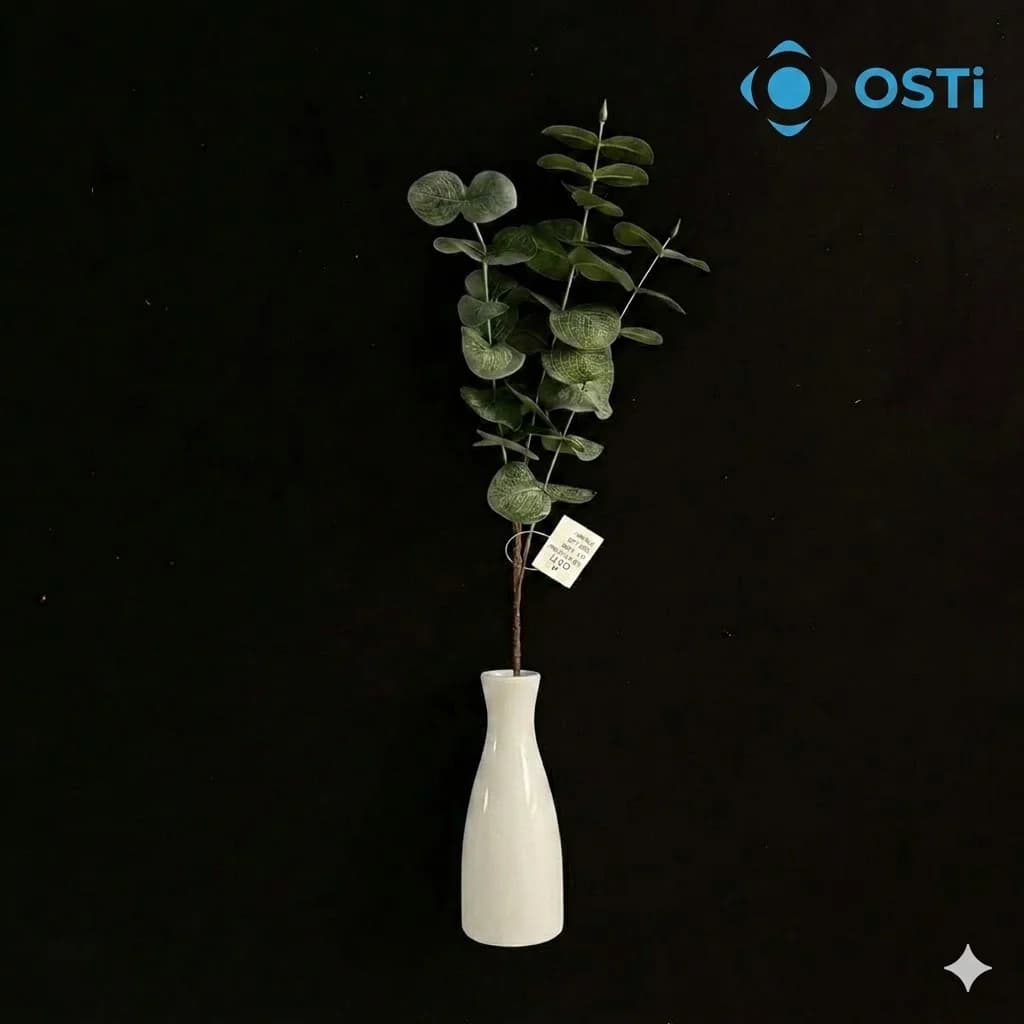 OKALİPTUS 50CM (5 ADET)